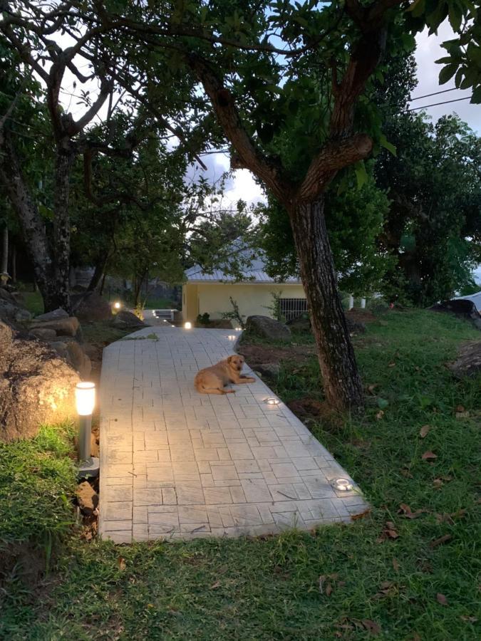 Naturalis - Oceanview Residences Misere Esterno foto